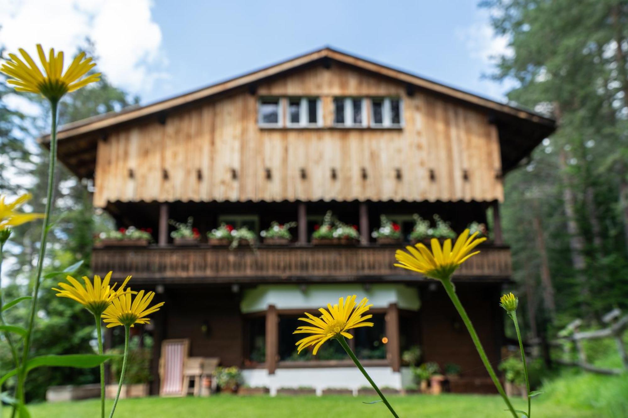 B&B Villa La Bercia サン・ヴィジリオ・ディ・マレッベ エクステリア 写真